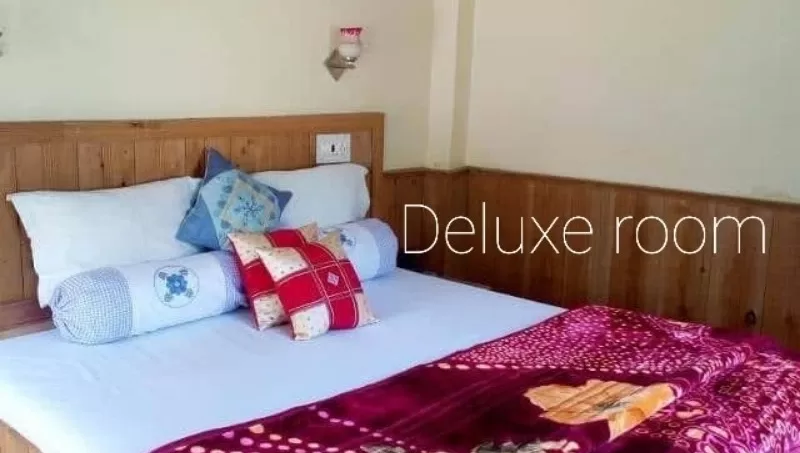 allview-cottage-and-camps-tirthan-valley-deluxe-room